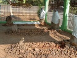 Makam Keramat Wali Unang di Desa Gunung Agung, Lampung Timur, Menjadi Destinasi Wisata Religi Bersejarah