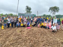 Pemdes Ngulak 2 Perkuat Ketahanan Pangan Lewat program Tanam Jagung