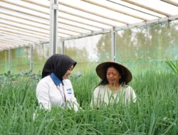 PNM Optimis Pemberdayaan Jadi Penguat Usaha Ultra Mikro 