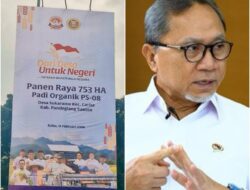 Menko Pangan Siap Hadir pada Panen Raya 753 Hektare Padi Organik PS-08 di Pandeglang