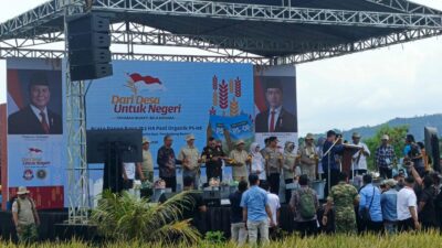 Panen Raya 753 Hektar Padi PS-08 Di Carita, Yayasan Bhakti Bela Negara Dorong Swasembada Pangan Nasional