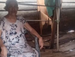 Terlupakan Tiga Tahun, Asmina Menunggu Kepedulian di Tengah Ketimpangan
