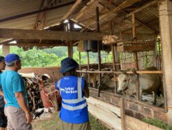 PJBW Bersama HI Bantu ‘Sebar Qurban 2026’ agar Lebih Merata & Makin Meluas Hingga ke Seluruh Pelosok Negeri