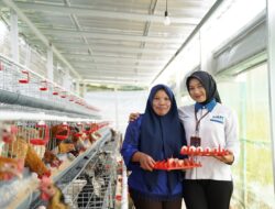 PNM Raih Indonesia Most Trusted Companies, Bukti Patuh Tata Kelola yang Dijalankan dari Hulu ke Hilir