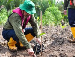 Peringati Hari Mangrove Sedunia, Kilang Plaju Tegaskan Komitmen Jangka Panjang Lestarikan Ekosistem Pesisir