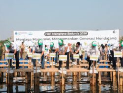 24.310 Bibit Mangrove Ditanam Serentak, Jakarta Perkuat Benteng Hijau Pesisir Menuju 500 Tahun Kota