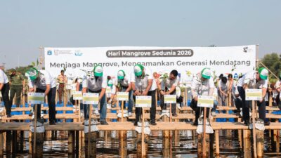 24.310 Bibit Mangrove Ditanam Serentak, Jakarta Perkuat Benteng Hijau Pesisir Menuju 500 Tahun Kota