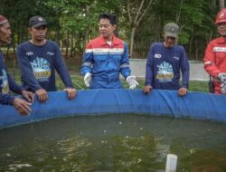 Rawat Alam di Tengah Aktivitas Industri, Kilang Plaju Konsisten Lestarikan Keanekaragaman Hayati