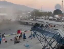 Flores Diguncang Gempa M 7,7: Dua Korban Jiwa di Sikka, BMKG dan BNPB Imbau Warga Jauhi Pantai