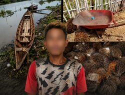 Unit Reskrim Polsek Air Kumbang Ungkap Kasus Pencurian Buah Sawit, Satu Tersangka Diamankan