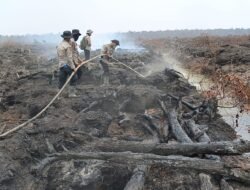 Operasi X-Fire Polda Sumsel Berhasil Padamkan Karhutla di Teluk Limau